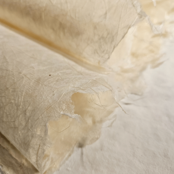 Papel Aiyá - 75g - 100 x 70