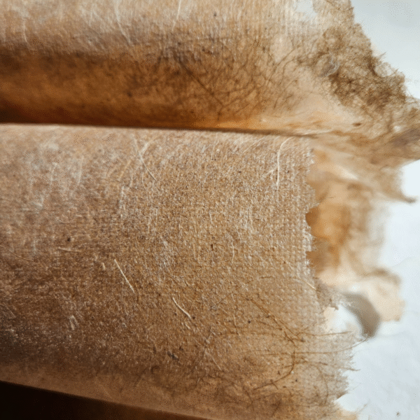 Papel - Guapo - 75g - 100 x 70