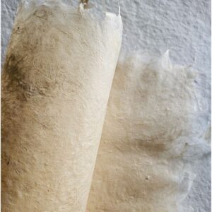 Papel Artesanal Raiz Translúcido 35g A2+