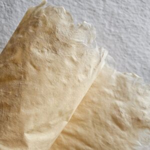 Papel Artesanal Raiz Claro 90g A2+