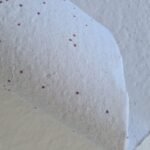Papel Artesanal Rúcula 90g A2+