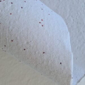 Papel Artesanal Rúcula 90g A2+
